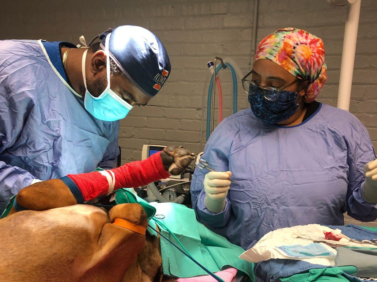 Surgery & Medical Procedures